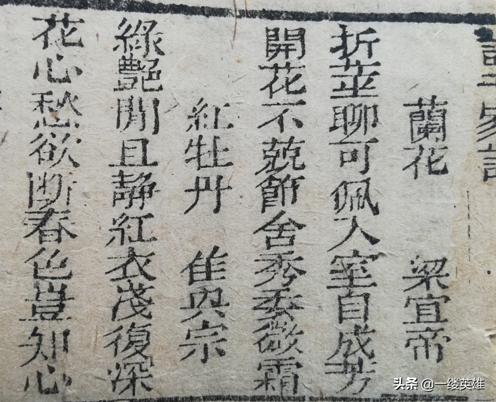 牡丹花的诗句王维,红牡丹唐王维古诗解析动画版