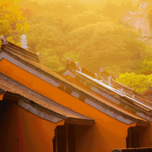 亚洲宜居城市排名2019,中国唯一一个国际评选的宜居城市