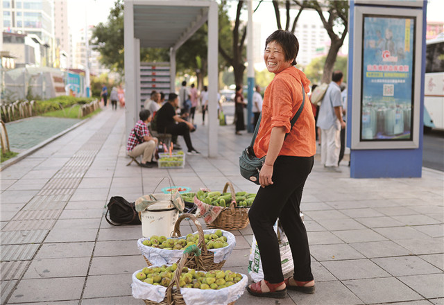威海无花果开出幸福花,威海荣成青皮无花果