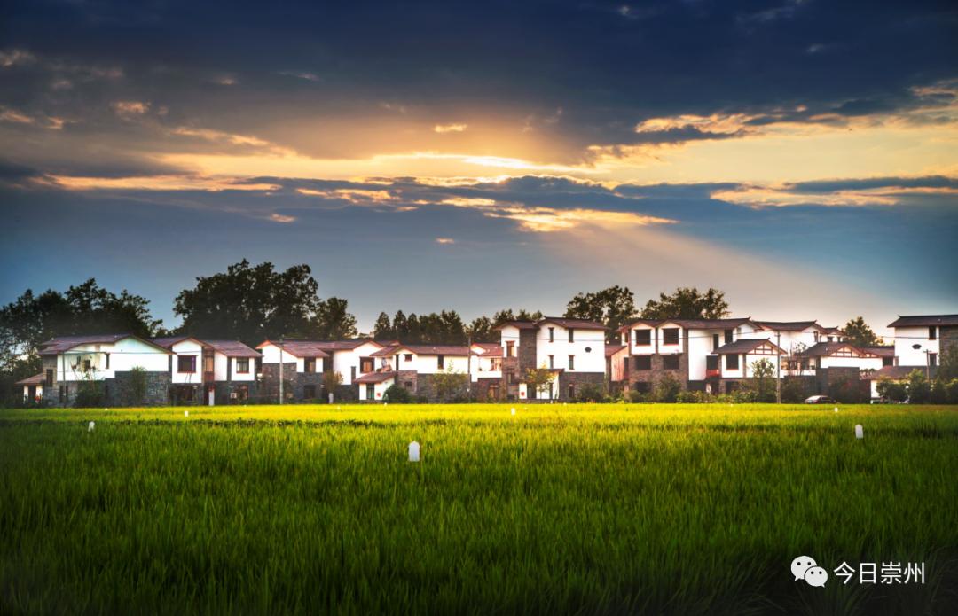 成都网红打卡地最近很火,真正的成都打卡地