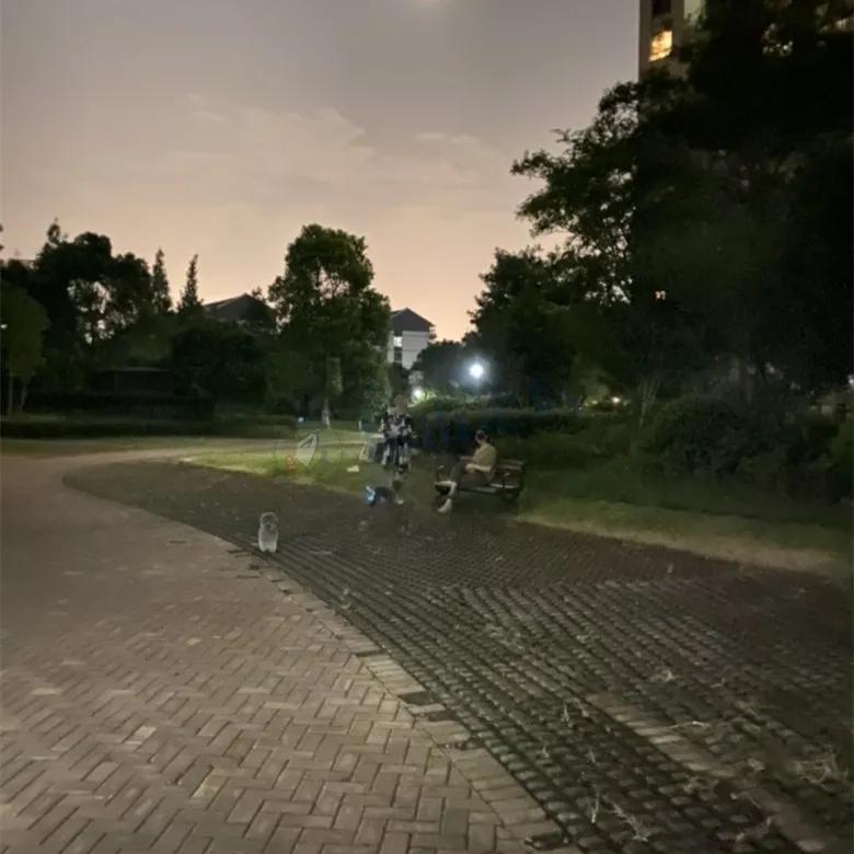 8天接诊180例！最小的刚出生！昆山近期恐高发