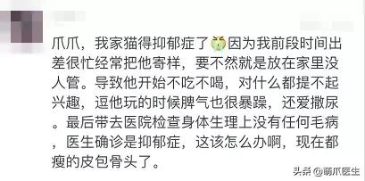 你的猫可能正在抑郁的深渊中挣扎,你家的猫会抑郁症吗