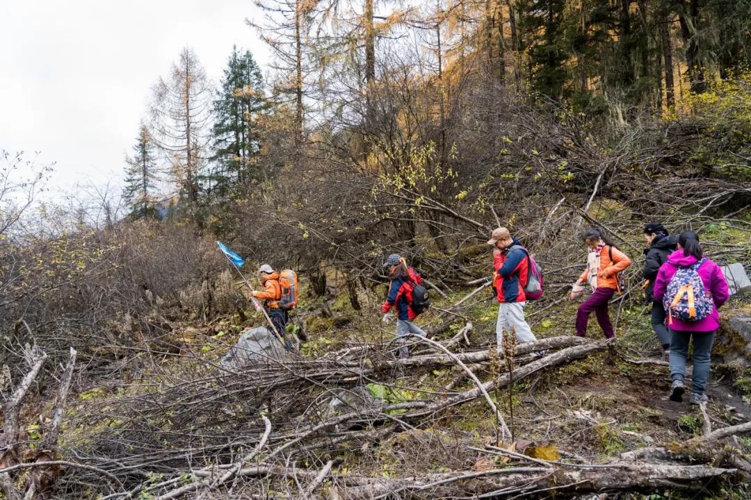 绫充簹缃楅湼鐜嬪北鏃呮父瑙嗛,绫充簹缃楅湼鐜嬪北鍏ㄦ櫙