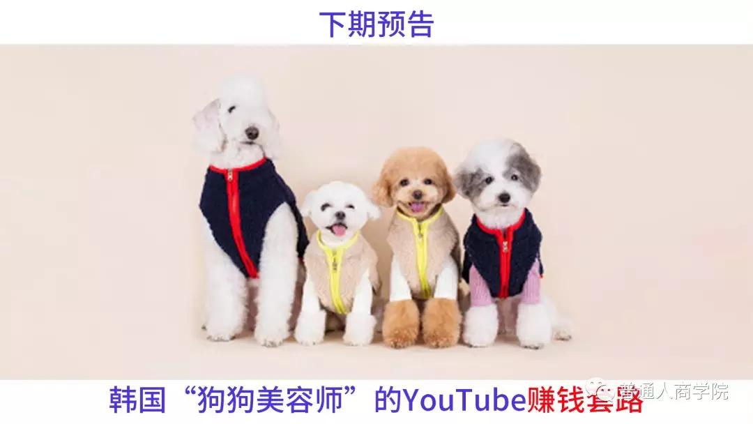 国外版的李子柒男的,日本版李子柒vs中国版李子柒