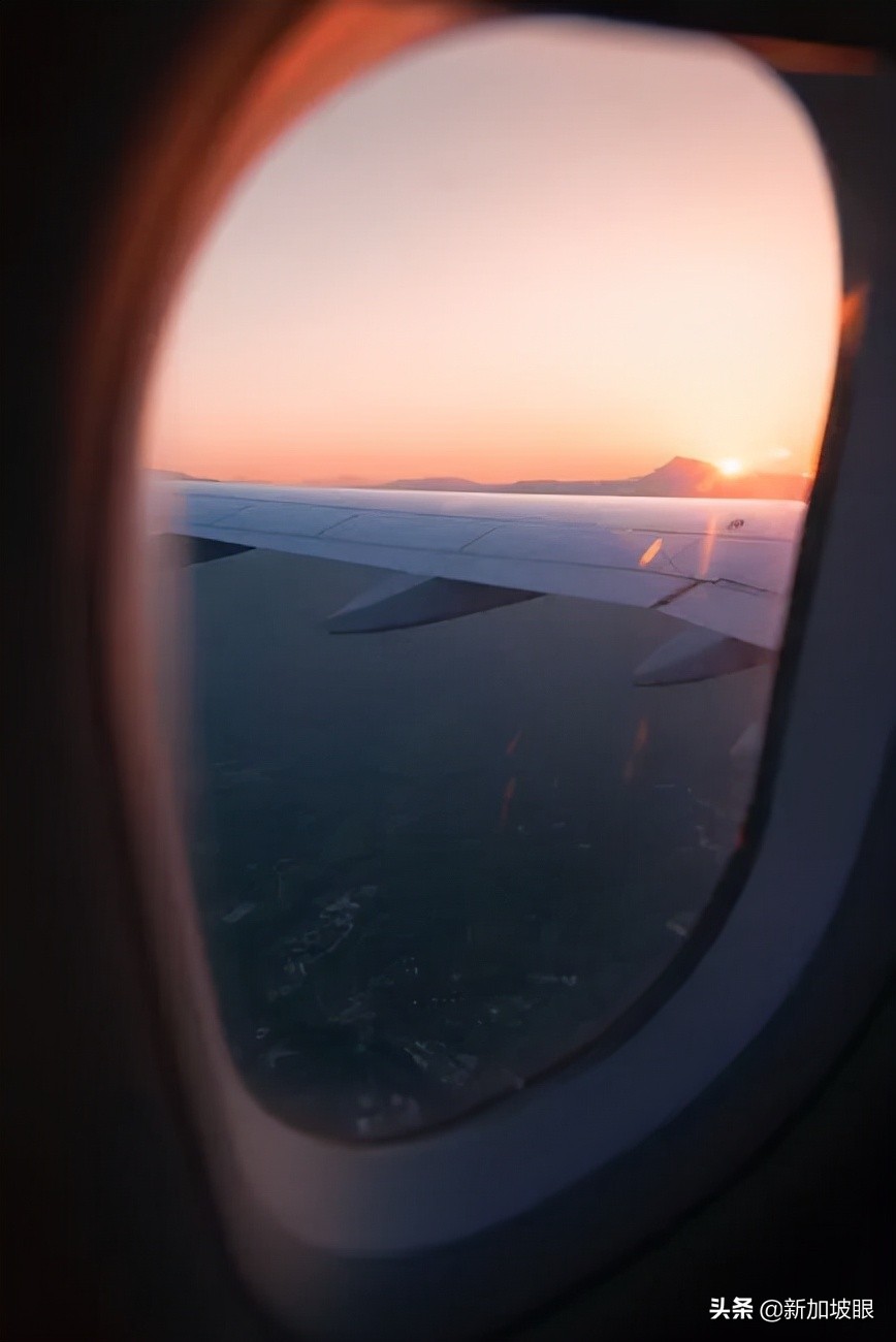 在越南感染新冠康复后可以回国吗,新加坡新冠康复后回中国需要什么