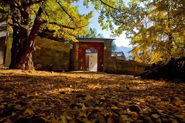 腾冲春天旅游攻略两日游最佳路线,春天怎么去腾冲玩最好玩