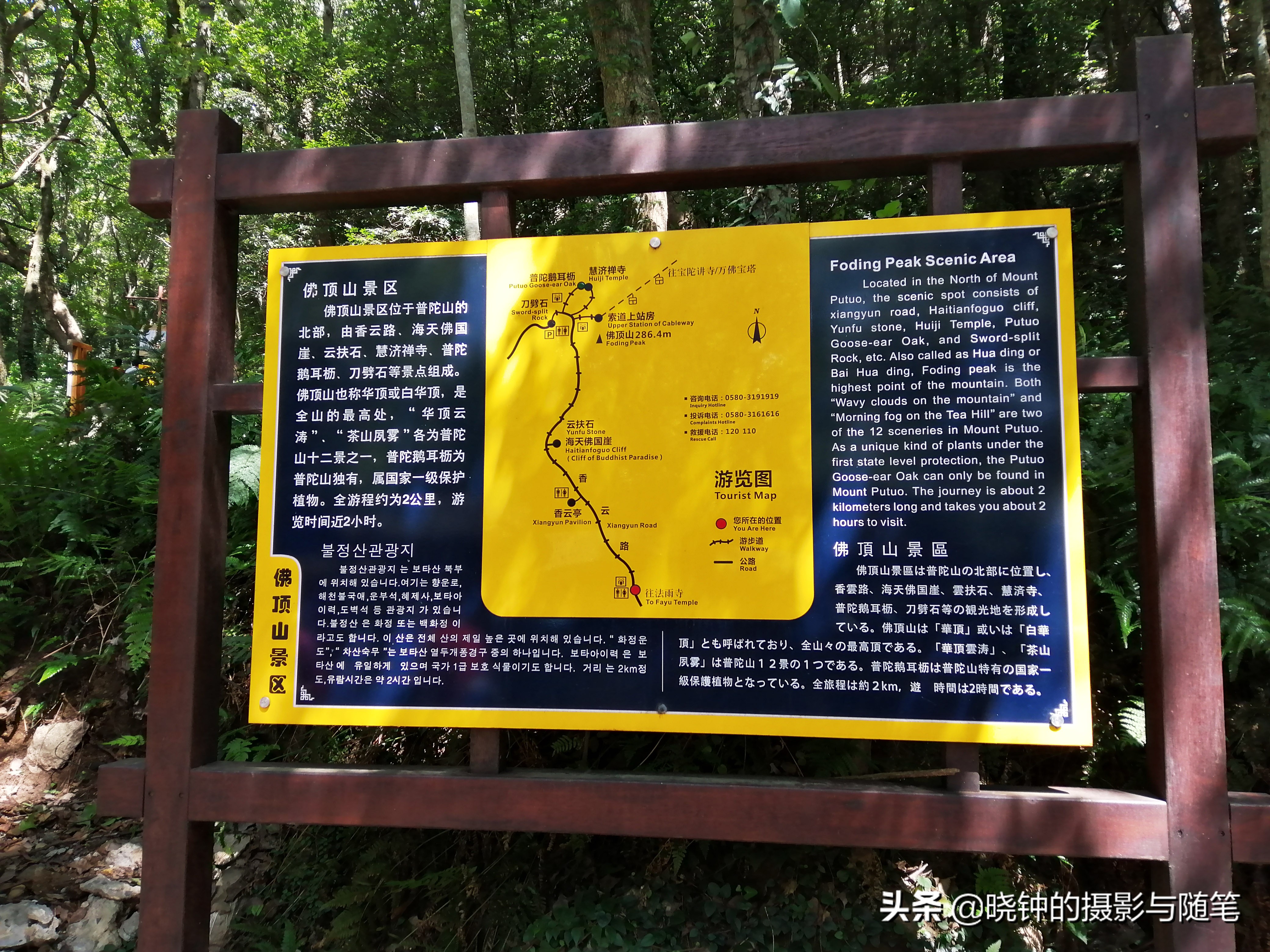 普陀山佛顶山有什么,普陀山佛顶山有必要上去吗