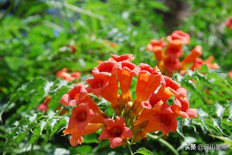 植物科学活动,第二十届公众科学日合肥