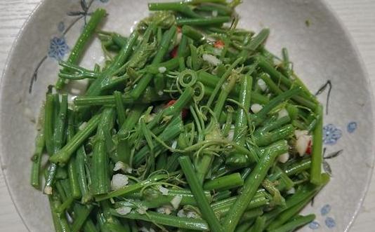 夏天必吃的10道菜最后一道绝了,推荐一款夏天比较适合吃的菜