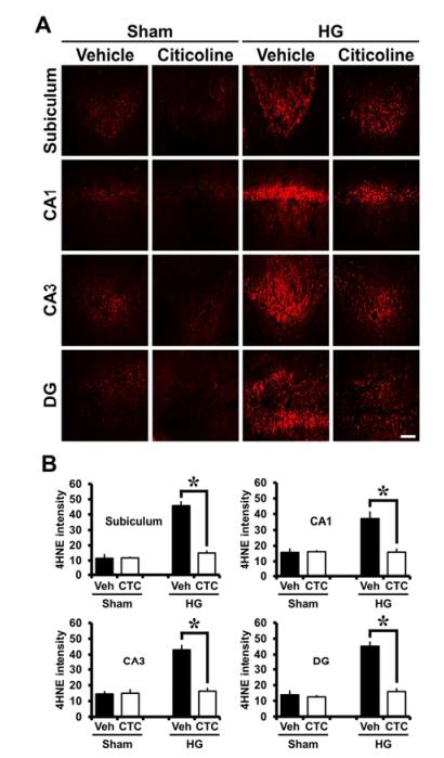 糖尿病病人发生低血糖时能吃糖吗,磷酸胞磷胆碱治疗糖尿病并发症