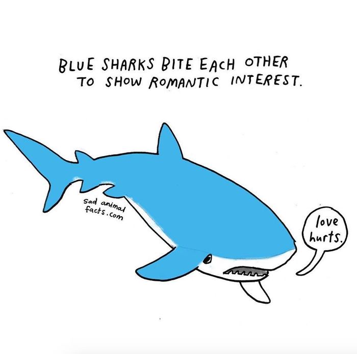 100幅治愈系小插画动物,治愈可爱的动漫动物插画