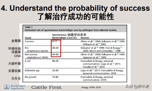 奶牛乳房炎症硬块怎么消除,高产奶牛乳房炎治疗原则
