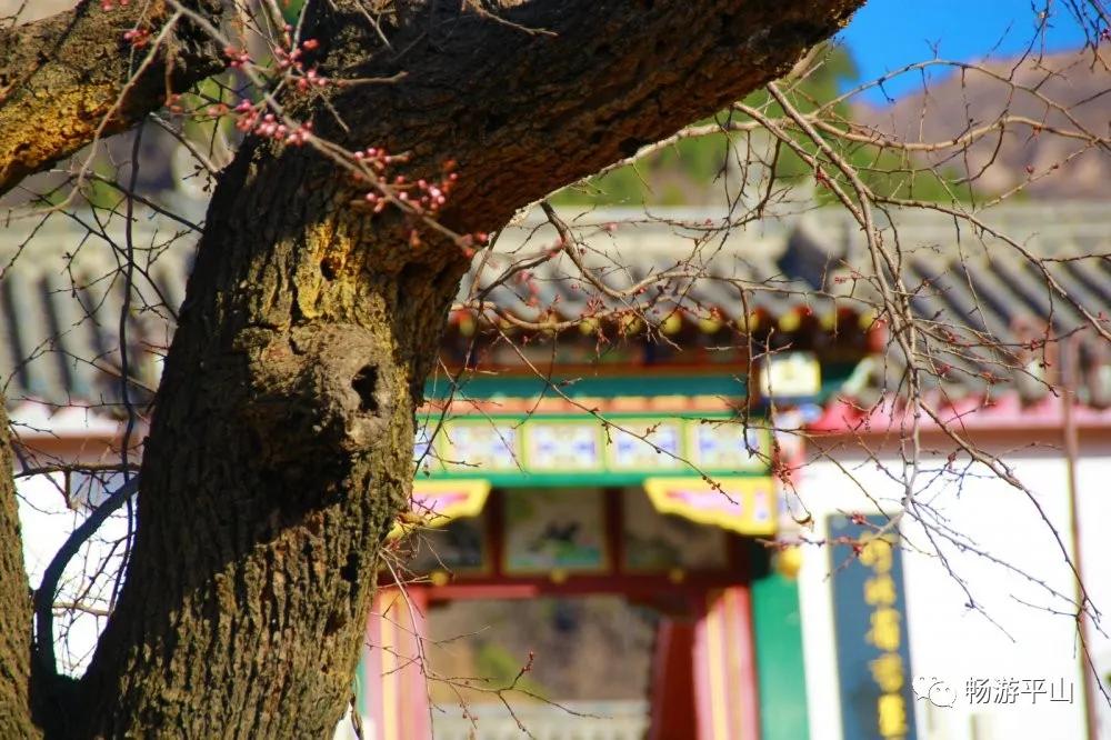 【大美平山】去王母山这个神奇之地,感受初秋的诗情画意