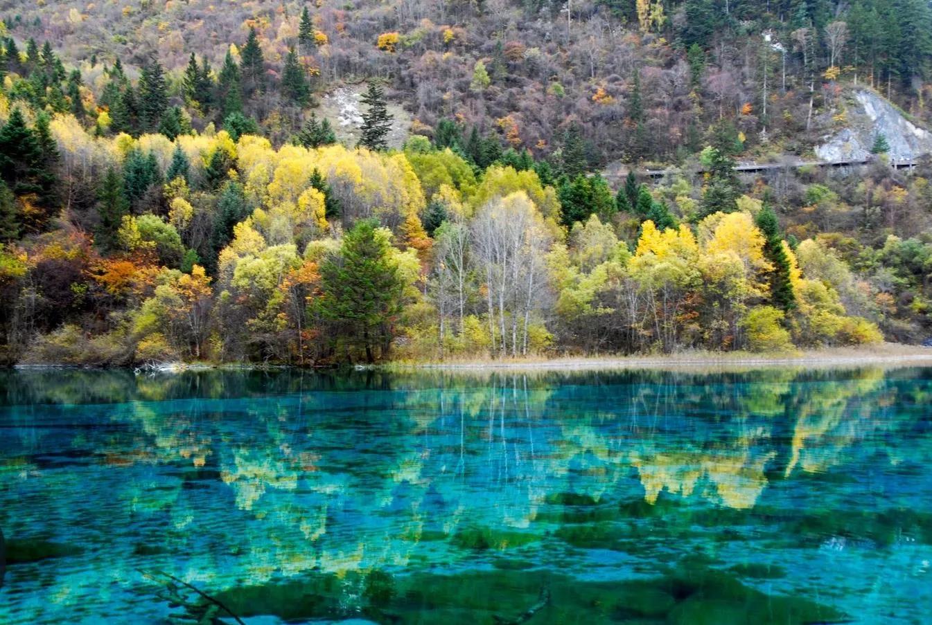 重庆，成都外围自助游后感悟CDBB98