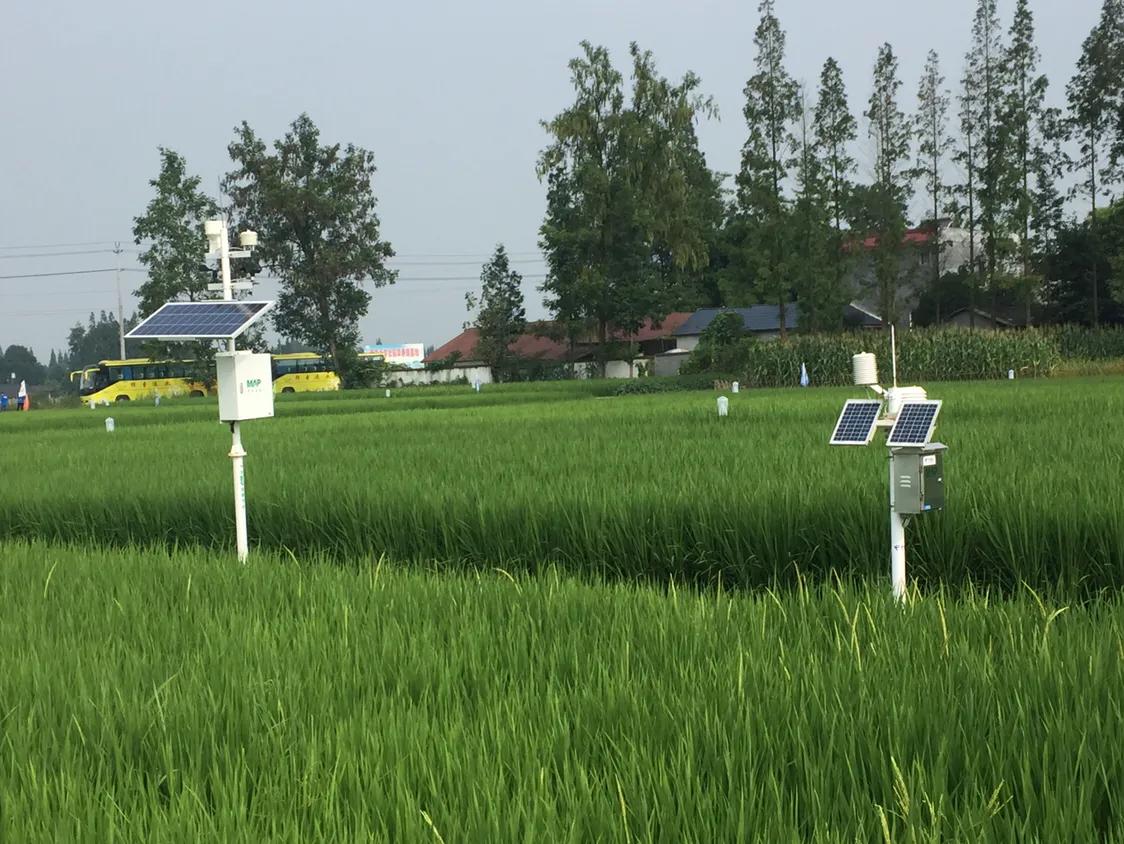 一户两宅怎么处置,怎样处理一户两宅是否合法