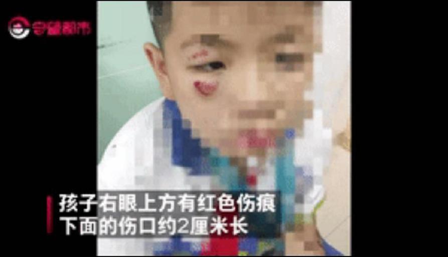 文明城市允许不文明养狗吗,养狗文明