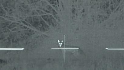 真正的狼灭：美国农场主一夜*击狙**45只郊狼，全套黑科技开挂了