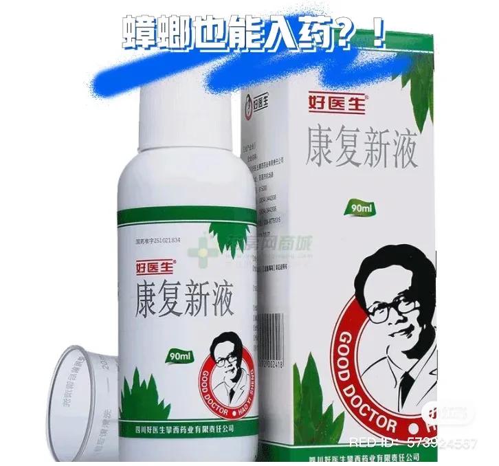 灰泰迪的疫苗,家有灰泰迪