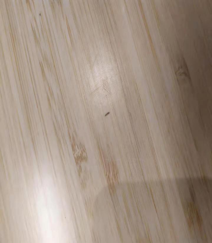 藏在木质家具里的虫子是什么,吃家具的虫子怎么消灭