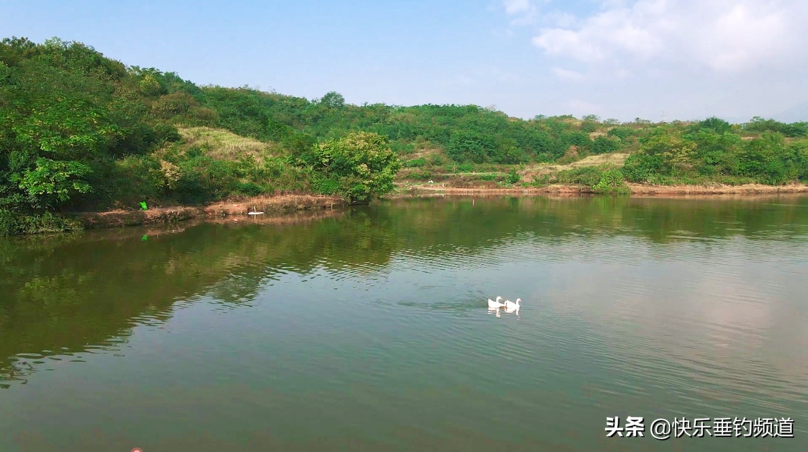 女子和大鱼搏斗,女子与大鱼的搏斗