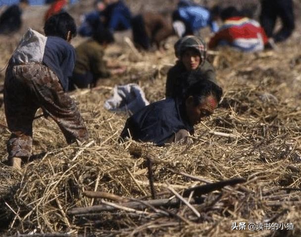 80年代农村淘金热：“跑红两千”病毒式传播，倾家荡产在所不惜