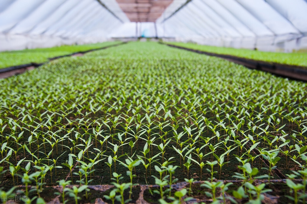最新连云港中标项目,江苏连云港重大项目公示