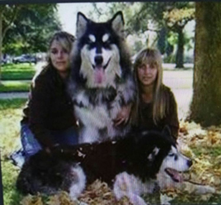 俄罗斯工作与生活,在俄罗斯工作的回忆