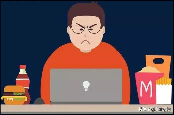 养宠物的哪个瞬间让你最崩溃,养宠物的24个扎心日常