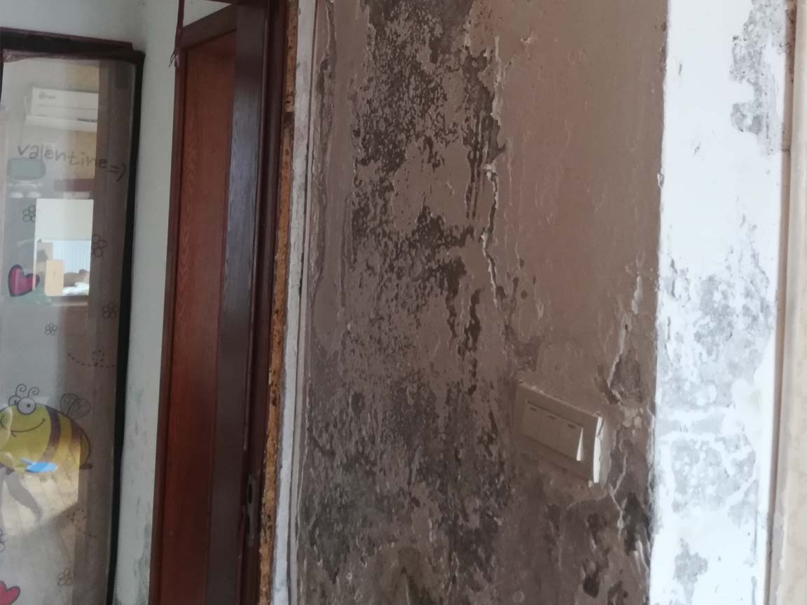 美城物业组织架构,美城物业公司怎么样