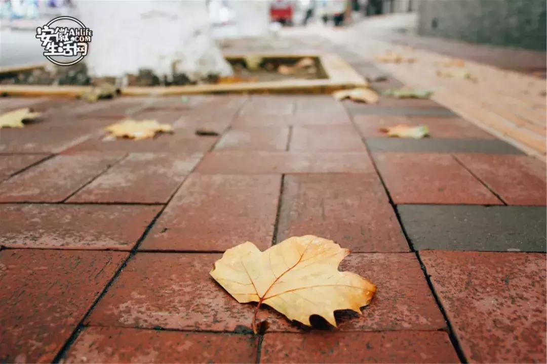 合肥一日游景点有哪些好玩的,合肥一日游最佳景点攻略