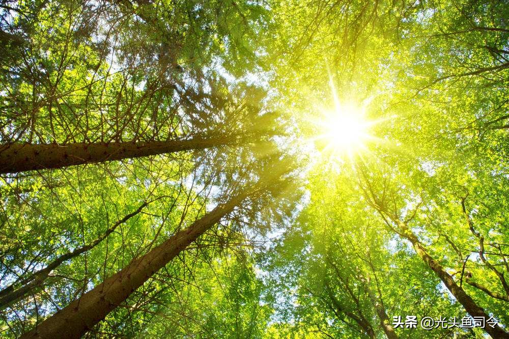 钓了几条鱼就不开口了,现在钓新鱼为什么不能打窝