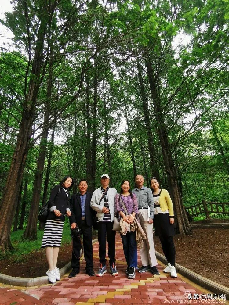 赴一场春日的邀约,五月赴一场与槐花的约会