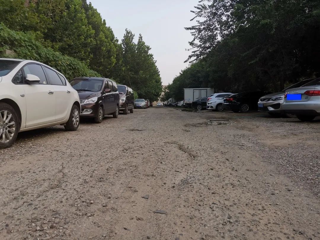 调查|无名道路“无人问津”，居民：不能再这样下去......