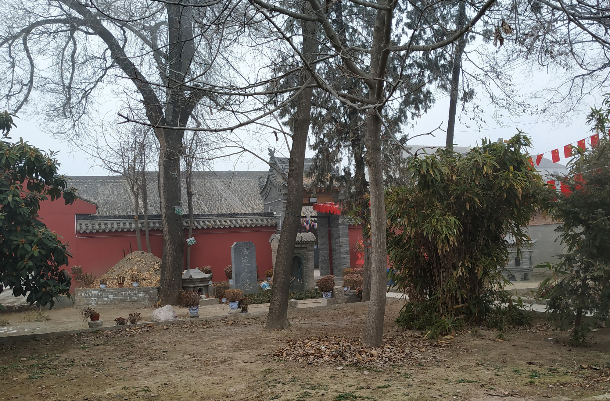 终南山活死人墓道长,悬壶济世30年,女弟子患癌症拜师后生命延续