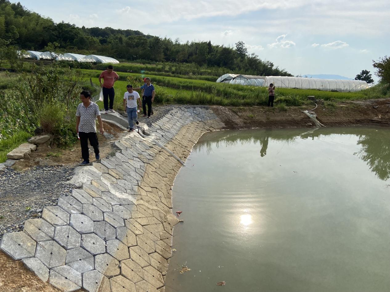 石台:民生工程谱写七井高山辣椒新篇章