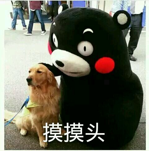 双十一“大展身手”，十二月没钱吃饭，小仙女居然这么做