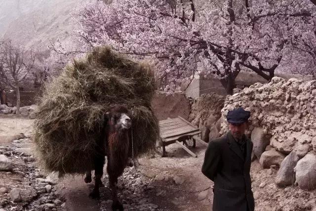 玄奘穿越帕米尔路线,帕米尔高原路线图帕莎古道