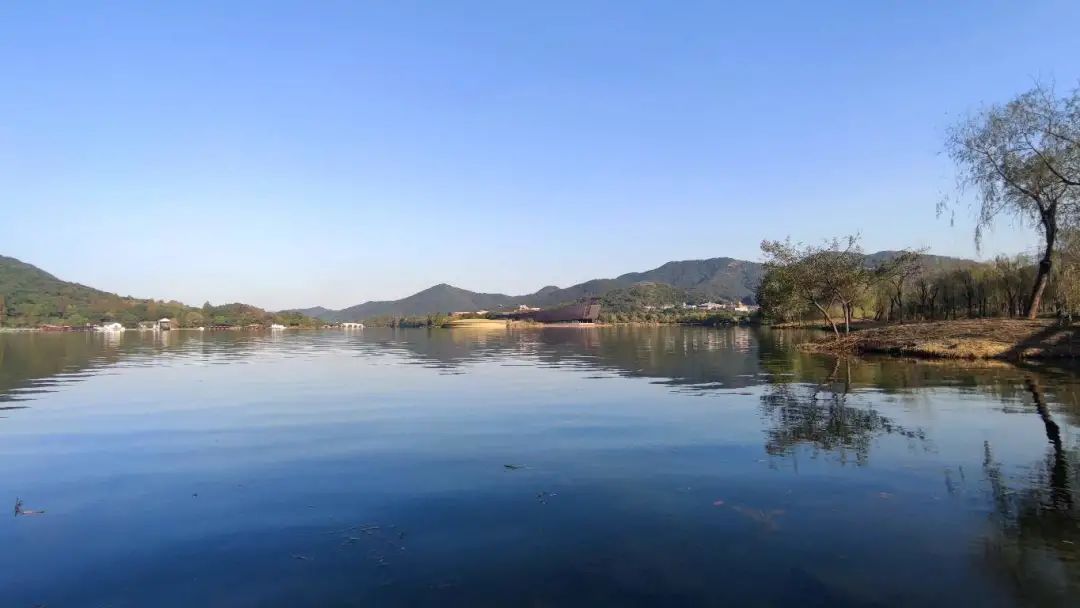 一周小结文字图片,小学一周小结怎么写