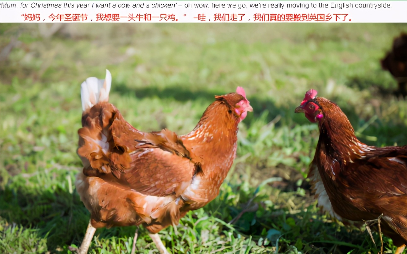 离婚后小三和前夫结婚生孩子了,分手后意外怀上了首富的孩子