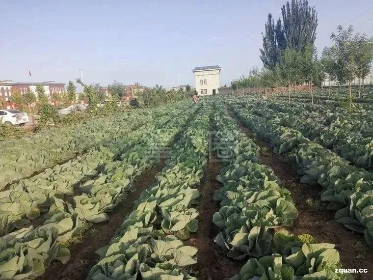 找工作招聘58同城阿克苏,58同城招聘附近找工作阿克苏