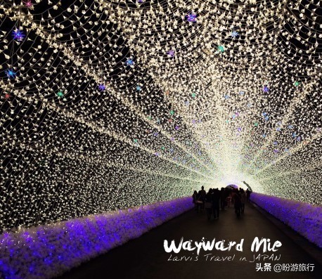 日本关西京都奈良旅游,日本关西自由行之奈良