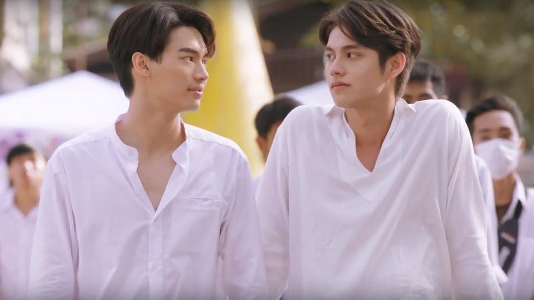 陷“辱华风波”、CP粉大撤退,《假偶天成》“塌方”启示录