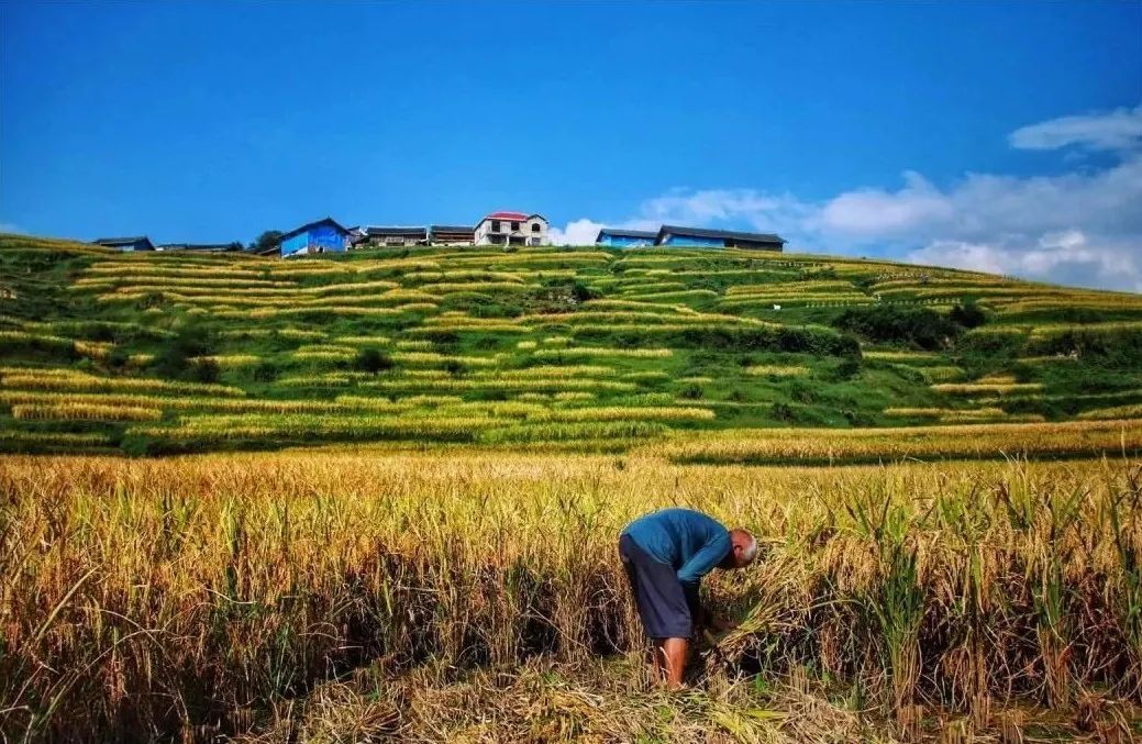 十四五规划投资方向,十四五重点项目总投资
