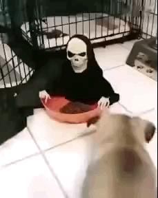 开心图文高清图片,开心图文原创