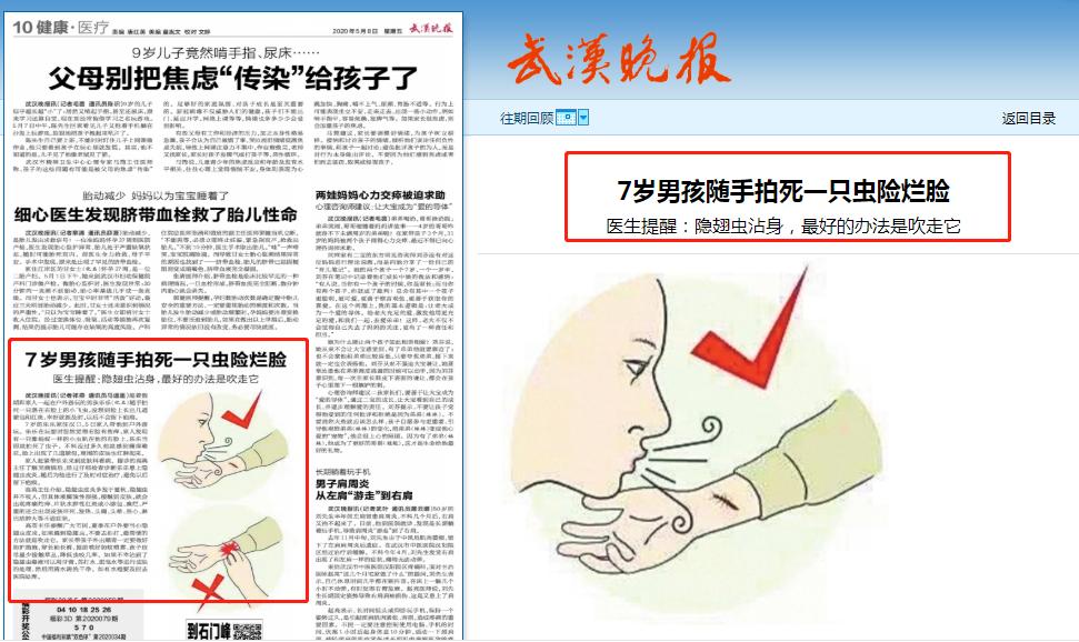 7岁孩子随手拍虫,7岁娃拍死一只虫险烂脸