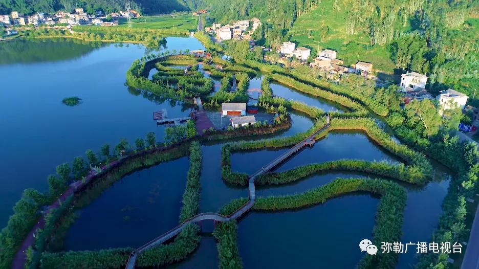 什么是弥勒教,什么是弥勒尊佛