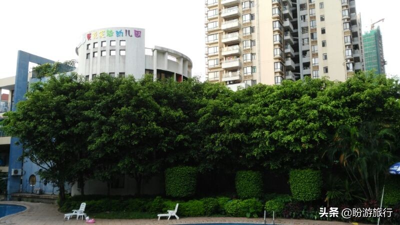 广州越秀区珠光街幼儿园怎么样,广州越秀幼儿园排名一览表最新