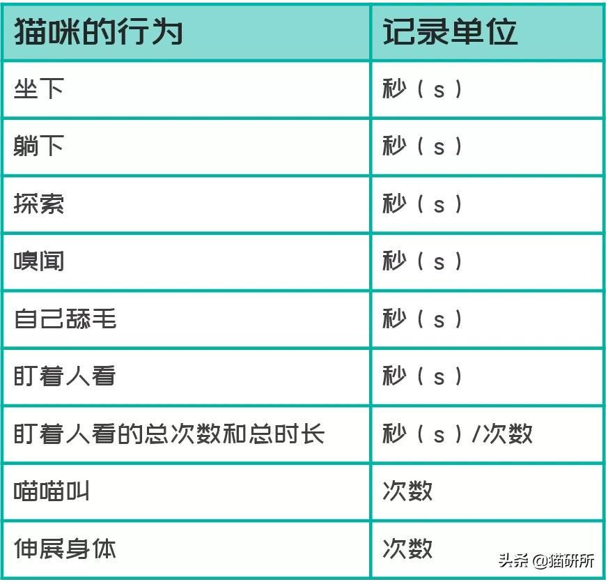 如果一直盯着时间看会发生什么,为啥不能盯着猫咪的眼睛看