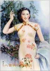 中国女性乳腺功能,中国女性的胸罩数据