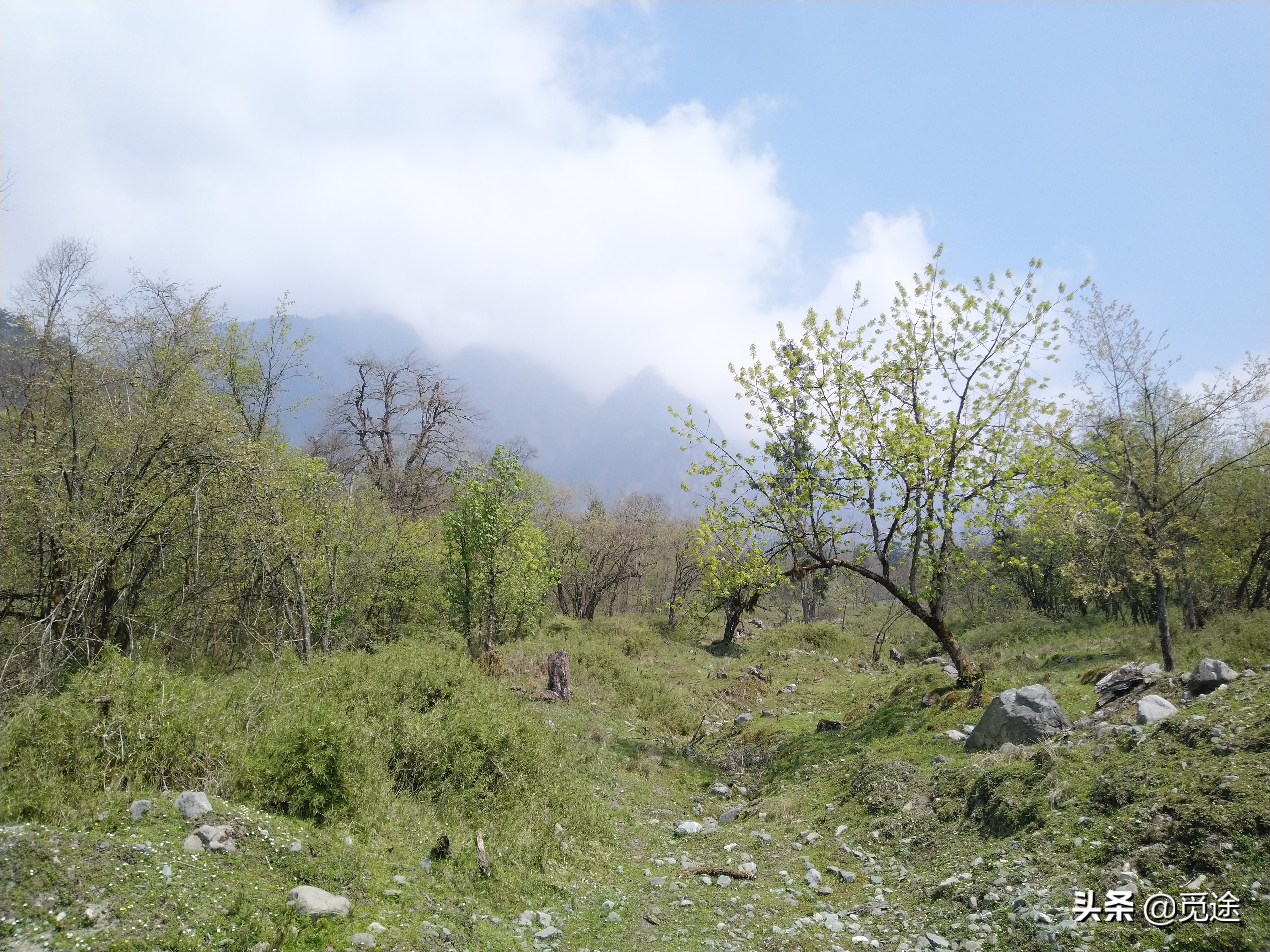 成都天然氧吧旅游景点,四川喇叭河风景区